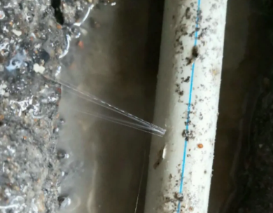 即墨测漏水哪家好