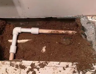 即墨测漏水哪家好