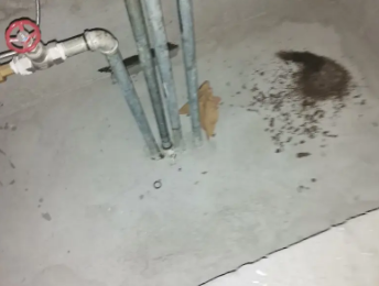 即墨卫生间测漏水价格明细